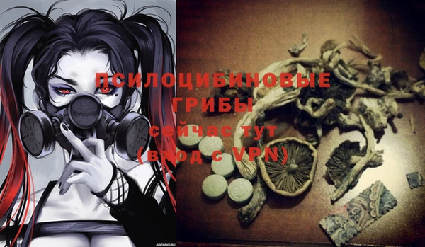 мяу мяу мука Баксан