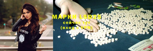 мяу мяу мука Баксан
