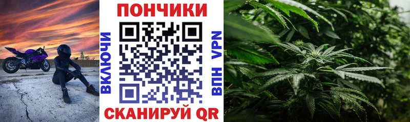 Бошки Шишки план Корсаков